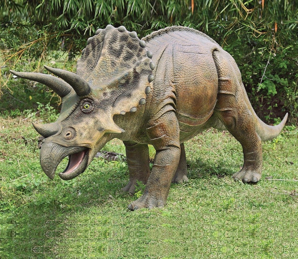 design-toscano-triceratops-life-size-dinosaur-ornament-07ffceafe1004d3e29a25d9a8cd9d096_original.jpg