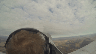 150846421ff161b17a.gif