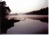 Fog on the White River Gastons 06.jpg