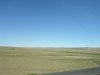 P1010019.JPG