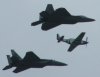 f22s&P51-2crop.jpg