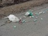 Dead Bunny.jpg