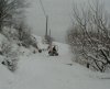 P1010016.JPG