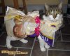 20060503-TIMJAN.jpg