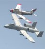 CRW_6900-B.jpg