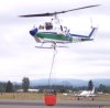 bambi bucket.jpg