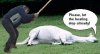 Beat_Dead_Horse.jpg Beat_Dead_Horse.jpg