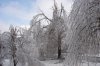 DSC_0087_small.jpg