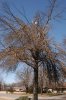 DSC_1002_small.jpg