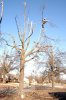 DSC_1009_small.jpg