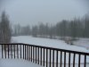 Spring 2009.jpg