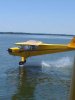 cub water skiing.jpeg