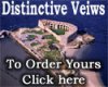 Distinctive Views Banner.jpg