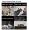 Screenshot_20220624-214818.png
