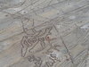 DSC01697_small.jpeg DSC01697_small.jpeg
