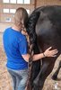 braid.jpg