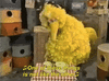 bigbird-one-of-these-things-is-not-like-the-others.gif bigbird-one-of-these-things-is-not-like-the-others.gif