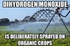 31A563AF-50B3-4C03-BA3E-FD2E3BAD7010.jpeg