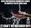 F5B64791-7F7D-481A-8B1B-23D63DF2CEF0.jpeg