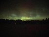 IMG_1731.jpeg