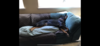 upload_2022-9-8_19-33-57.png
