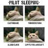 sillycats.png