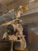 Eustace_Suit_Udvar-Hazy.jpg
