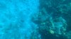 upload_2022-9-21_10-59-46.jpeg