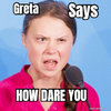 Greta how dare you.jpg