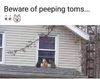 snoopers.png