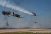 RED_5033-1.jpg