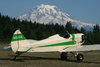 fly baby rainier lowres.jpg fly baby rainier lowres.jpg