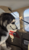 Screenshot_20221206-132843.png