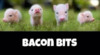 upload_2022-12-28_12-8-5.png