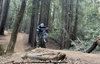 52E552D0-C389-485D-8C38-A9D50D5C5B9E.jpeg