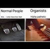 organists.jpg