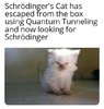 702F524C-151E-4C02-A599-461C6E06127E.jpeg