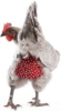 54ED2414-3731-435F-8377-2B96807551DB.png