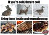 Warm_Them_Up.jpg