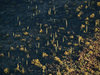 P2044753-DeNoiseAI-standard.jpg