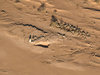 P2044770-DeNoiseAI-standard.jpg