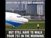 737walk.jpg