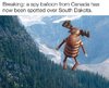 bullwinkle.jpg bullwinkle.jpg
