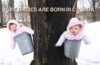 upload_2023-3-3_21-50-58.png