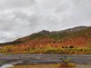 IMG20220907122404.jpg