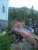 IMG_20200714_120146_01.jpg