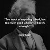 Mark-Twain.jpg Mark-Twain.jpg