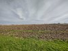 IMG_20230406_173338408_HDR.jpg