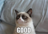 Screenshot_20230410-113113-800.png