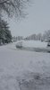 upload_2023-4-18_9-7-41.jpeg upload_2023-4-18_9-7-41.jpeg